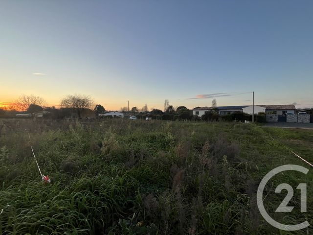 terrain à vendre - 1579.0 m2 - GREZAC - 17 - POITOU-CHARENTES - Century 21 Agence De La Seudre