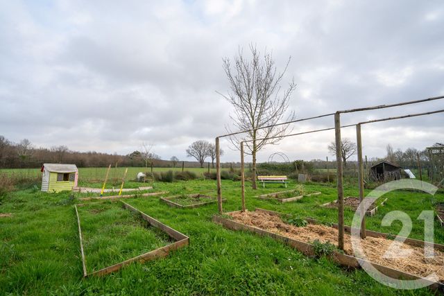 maison à vendre - 3 pièces - 75.0 m2 - ST JEAN D ANGLE - 17 - POITOU-CHARENTES - Century 21 Agence De La Seudre
